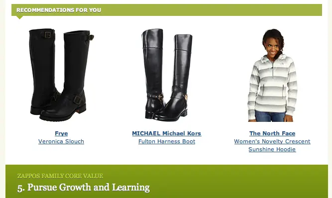 Zappos Upselling Strategy Zappos Upselling Strategy customer lifetime value example