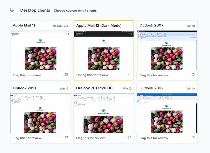 Litmus email testing example