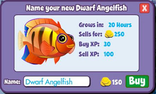Bonus AngelFish